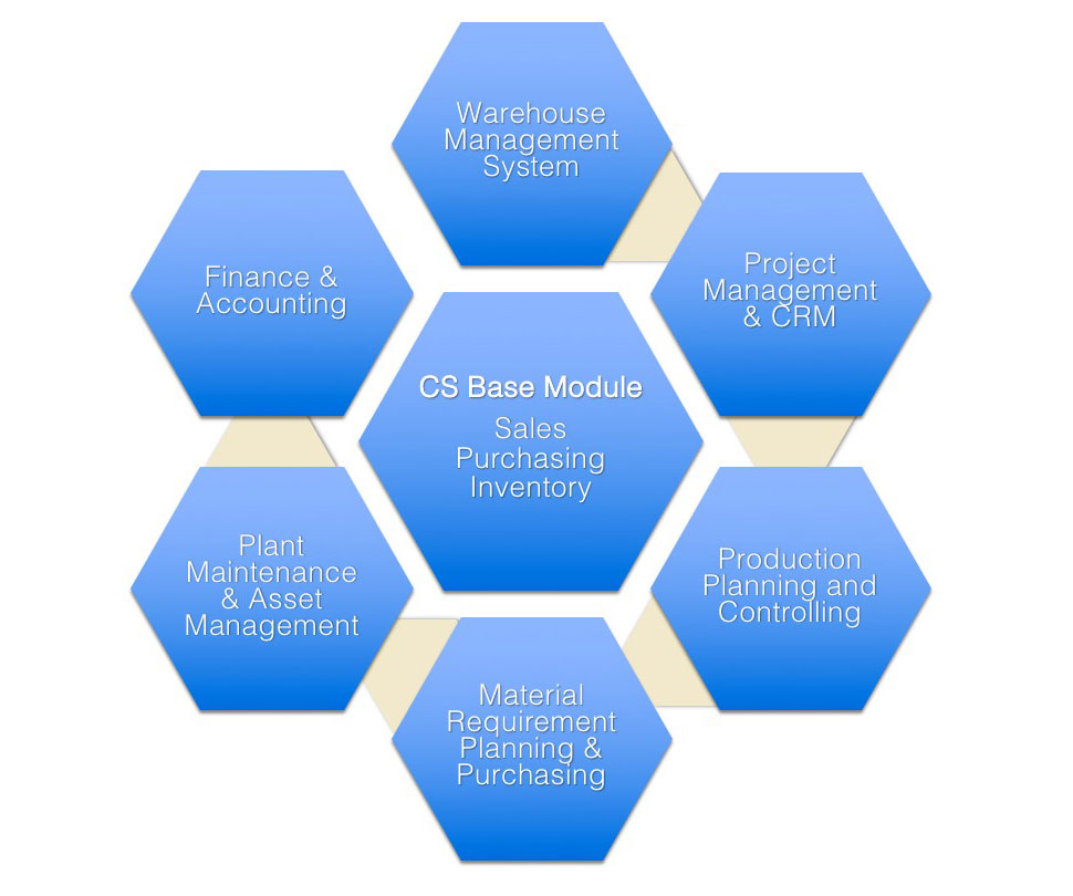 InterActive Software ERP